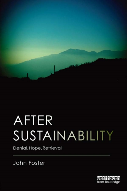 After Sustainability : Denial, Hope, Retrieval, PDF eBook