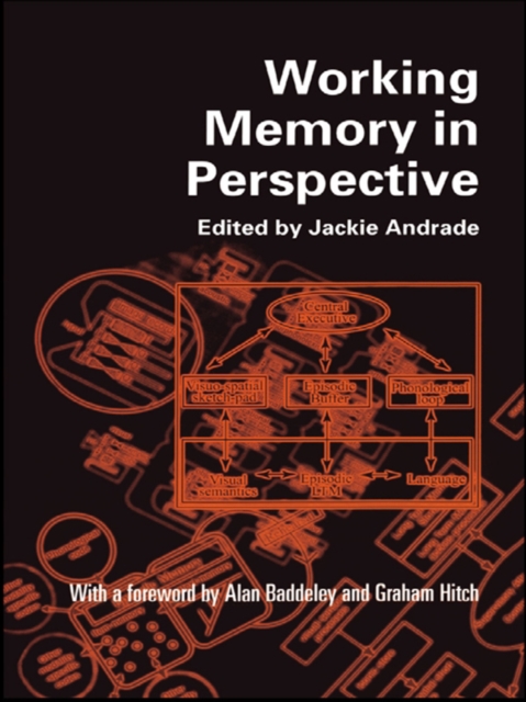 Working Memory in Perspective, EPUB eBook