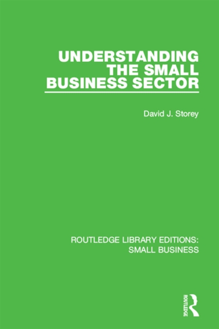Understanding The Small Business Sector, PDF eBook
