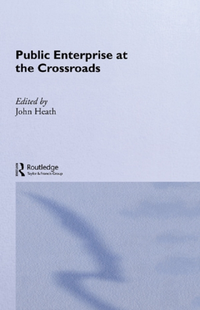 Public Enterprise at the Crossroads, PDF eBook