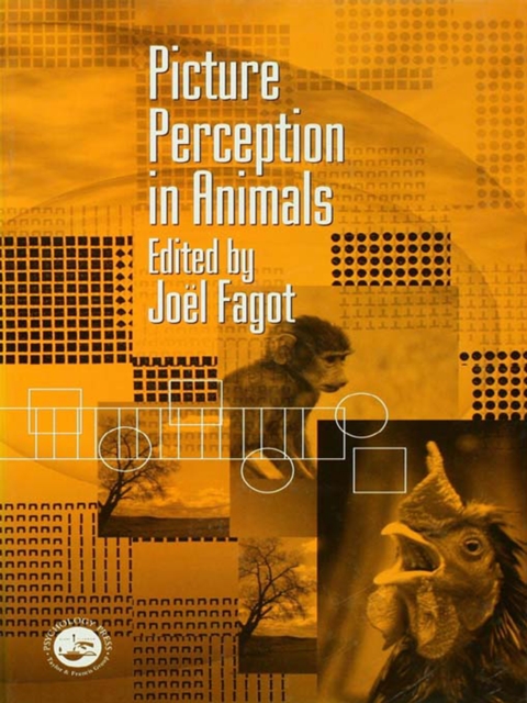 Picture Perception in Animals, PDF eBook