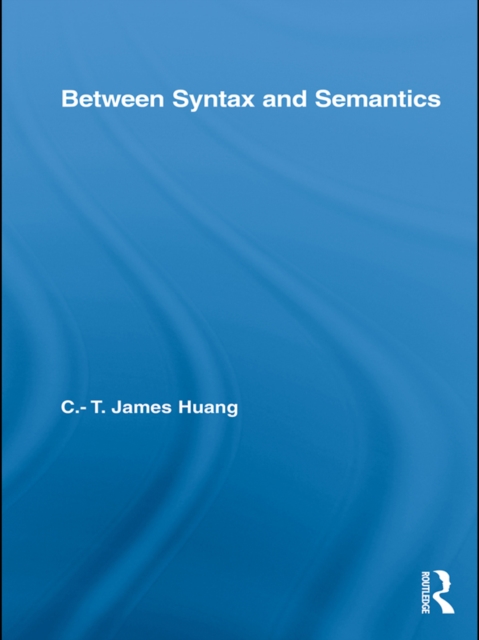 Between Syntax and Semantics, PDF eBook