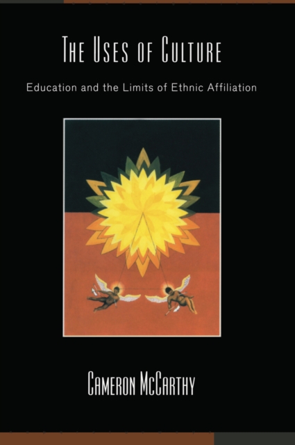 The Uses of Culture : Education and the Limits of Ethnic Affiliation, PDF eBook