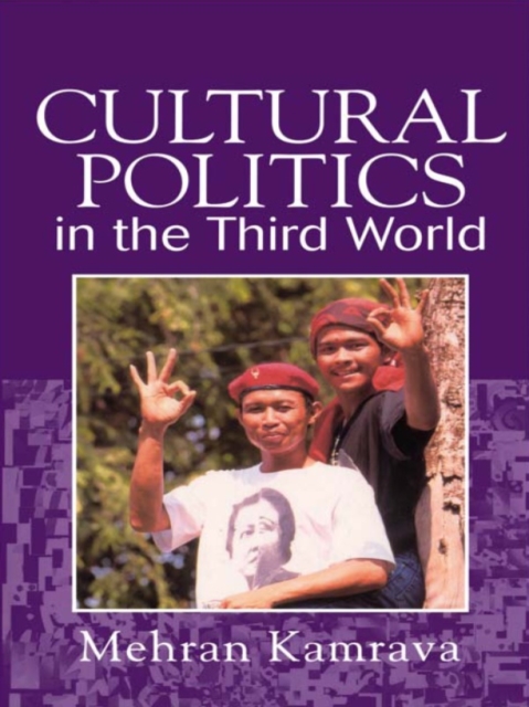 Cultural Politics in the Third World, EPUB eBook