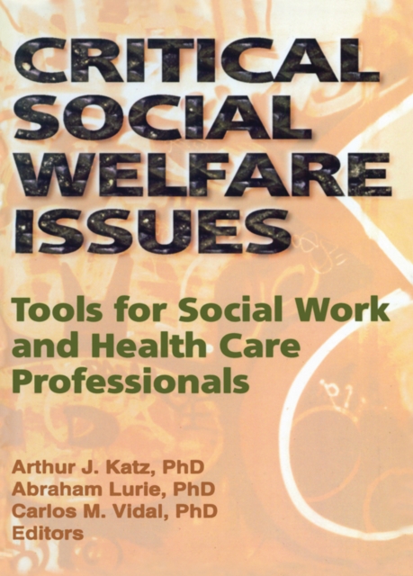Critical Social Welfare Issues : Tools for Social Work and Health Care Professionals, EPUB eBook