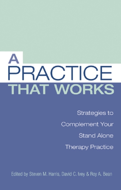 A Practice that Works : Strategies to Complement Your Stand Alone Therapy Practice, PDF eBook