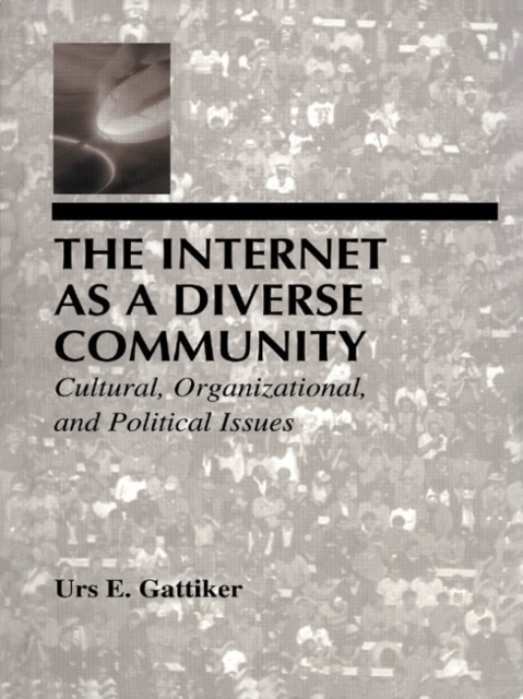 The Internet As A Diverse Community : Cultural, Organizational, and Political Issues, EPUB eBook