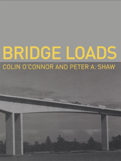Bridge Loads : An International Perspective, PDF eBook