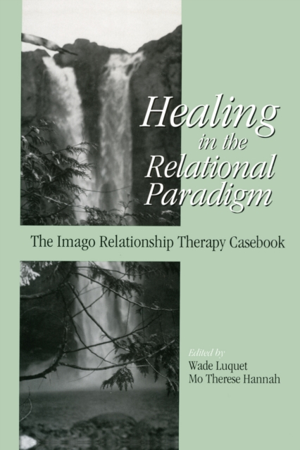 Healing in the Relational Paradigm : The Imago Relationship Therapy Casebook, PDF eBook
