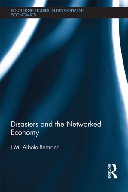 Disasters and the Networked Economy, PDF eBook