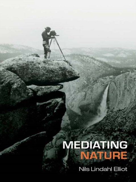 Mediating Nature, PDF eBook