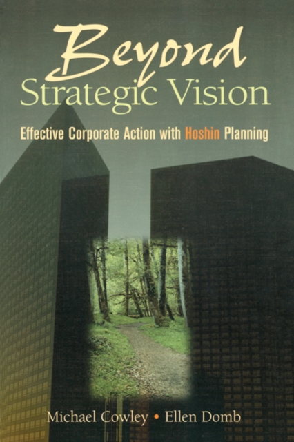 Beyond Strategic Vision, EPUB eBook