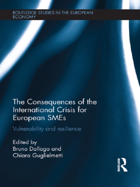 The Consequences of the International Crisis for European SMEs : Vulnerability and Resilience, PDF eBook