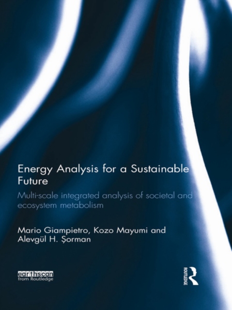 Energy Analysis for a Sustainable Future : Multi-Scale Integrated Analysis of Societal and Ecosystem Metabolism, EPUB eBook