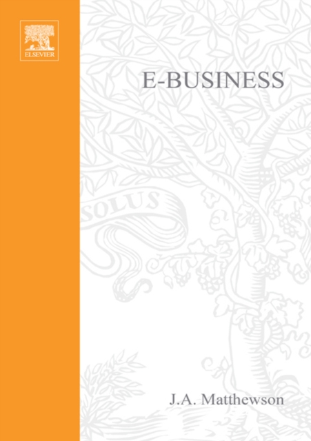 e-Business - A Jargon-Free Practical Guide, PDF eBook
