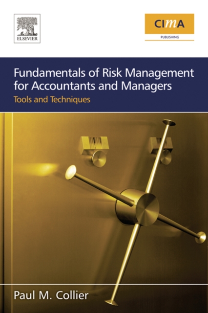 Fundamentals of Risk Management for Accountants and Managers, EPUB eBook