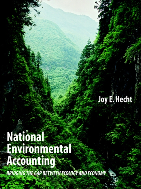 National Environmental Accounting : Bridging the Gap between Ecology and Economy, PDF eBook