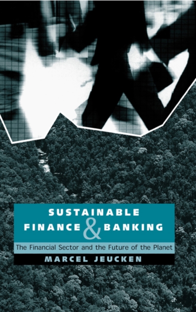 Sustainable Finance and Banking : The Financial Sector and the Future of the Planet, PDF eBook