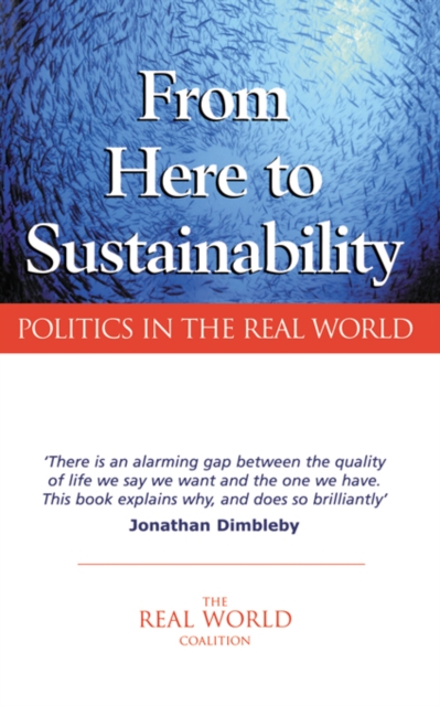From Here to Sustainability : Politics in the Real World, PDF eBook