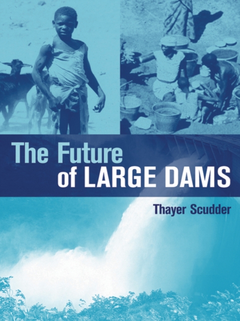 The Future of Large Dams : Dealing with Social, Environmental, Institutional and Political Costs, EPUB eBook