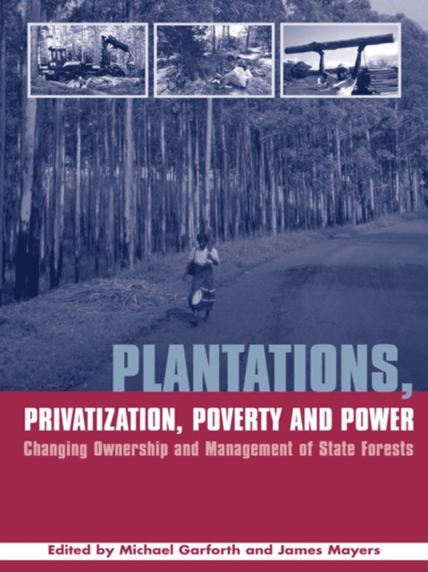 Plantations Privatization Poverty and Power : Changing Ownership and Management of State Forests, PDF eBook