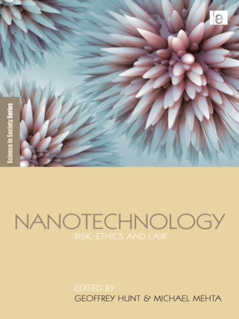 Nanotechnology : Risk, Ethics and Law, PDF eBook