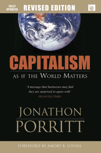 Capitalism As If the World Matters, EPUB eBook