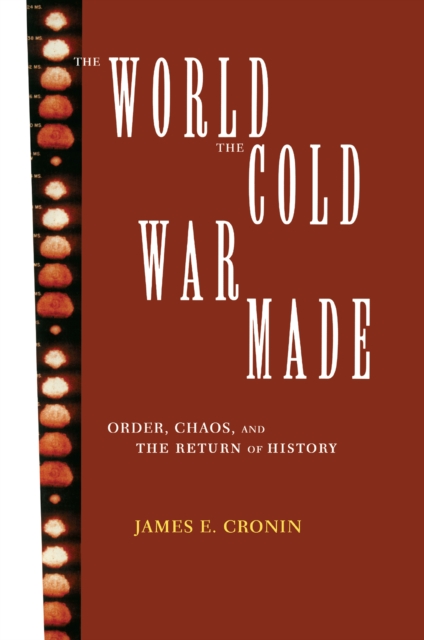The World the Cold War Made : Order, Chaos and the Return of History, PDF eBook