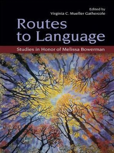 Routes to Language : Studies in Honor of Melissa Bowerman, PDF eBook