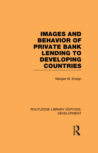 Images and Behaviour of Private Bank Lending to Developing Countries, EPUB eBook