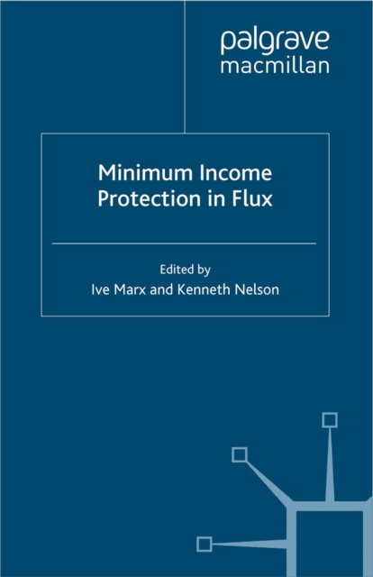 Minimum Income Protection in Flux, PDF eBook
