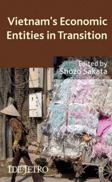 Vietnam's Economic Entities in Transition, Hardback Book