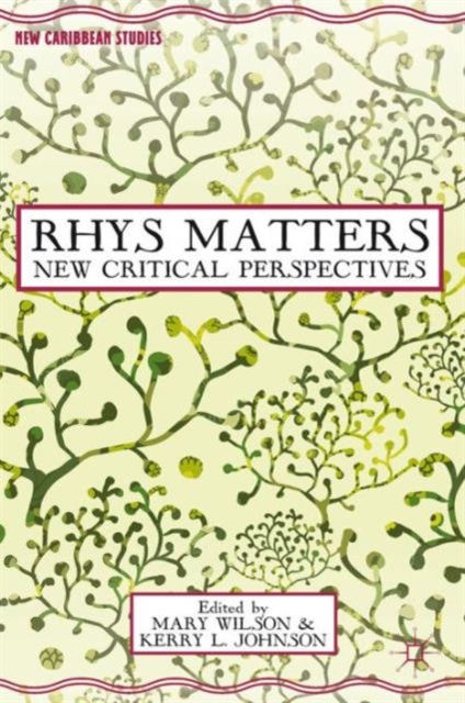 Rhys Matters : New Critical Perspectives, Hardback Book