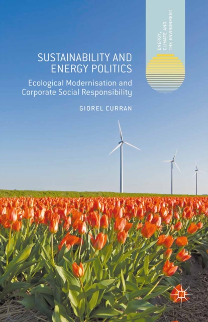 Sustainability and Energy Politics : Ecological Modernisation and Corporate Social Responsibility, PDF eBook