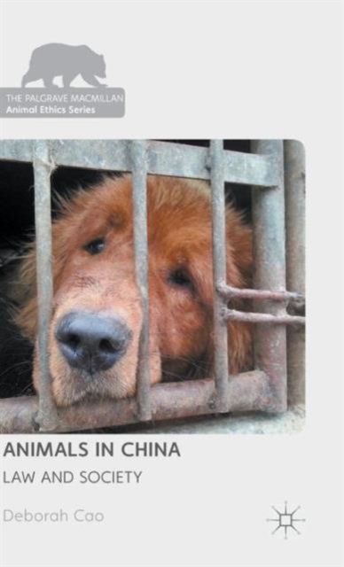 Animals in China : Law and Society, Hardback Book