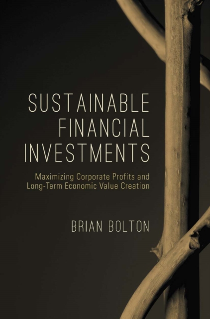 Sustainable Financial Investments : Maximizing Corporate Profits and Long-Term Economic Value Creation, PDF eBook