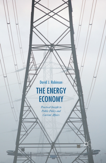 The Energy Economy : Practical Insight to Public Policy and Current Affairs, PDF eBook