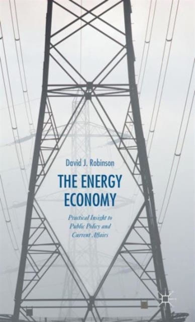 The Energy Economy : Practical Insight to Public Policy and Current Affairs, Hardback Book