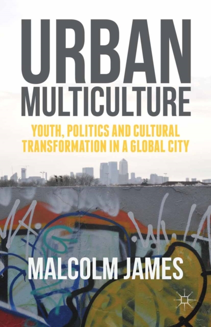 Urban Multiculture : Youth, Politics and Cultural Transformation in a Global City, PDF eBook