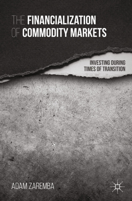 The Financialization of Commodity Markets : Investing During Times of Transition, PDF eBook