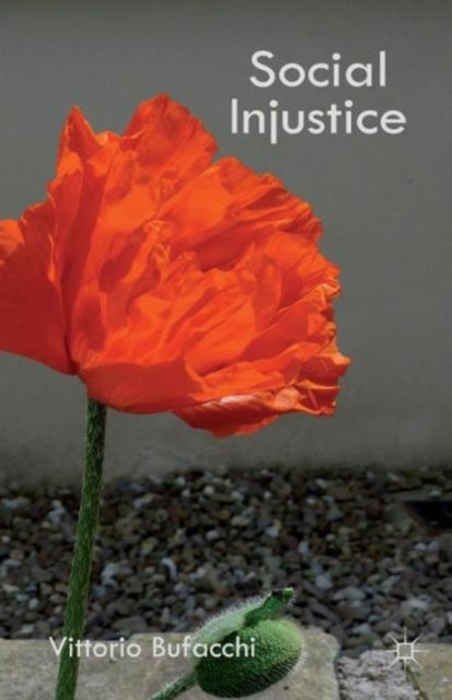 Social Injustice : Essays in Political Philosophy, Paperback / softback Book