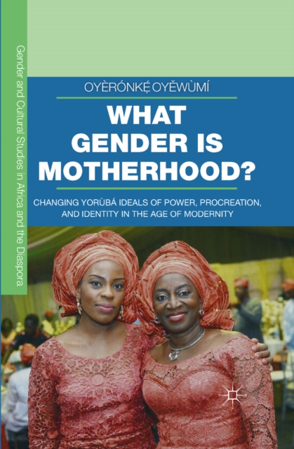 What Gender is Motherhood? : Changing Yoruba Ideals of Power, Procreation, and Identity in the Age of Modernity, PDF eBook