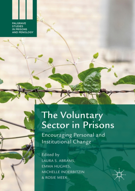 The Voluntary Sector in Prisons : Encouraging Personal and Institutional Change, PDF eBook