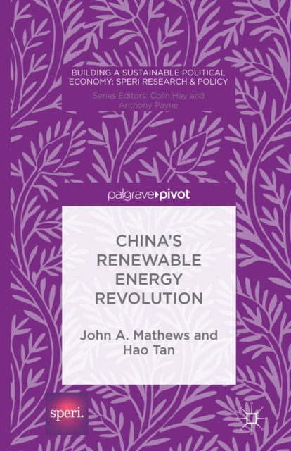 China's Renewable Energy Revolution, PDF eBook