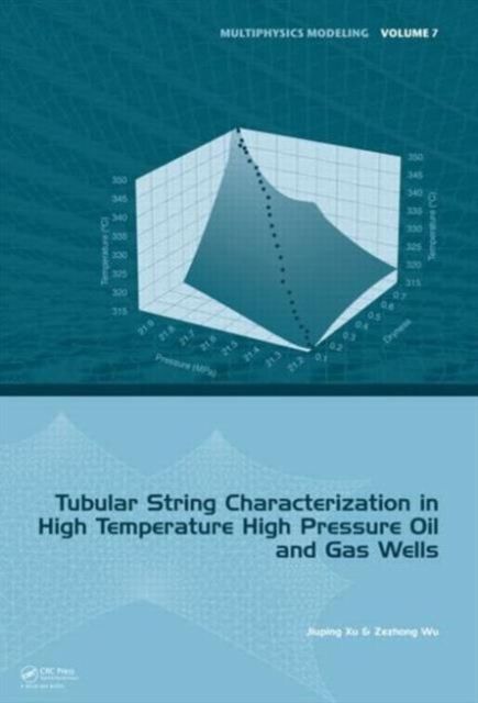 Tubular String Characterization in High Temperature High Pressure Oil and Gas Wells, Hardback Book