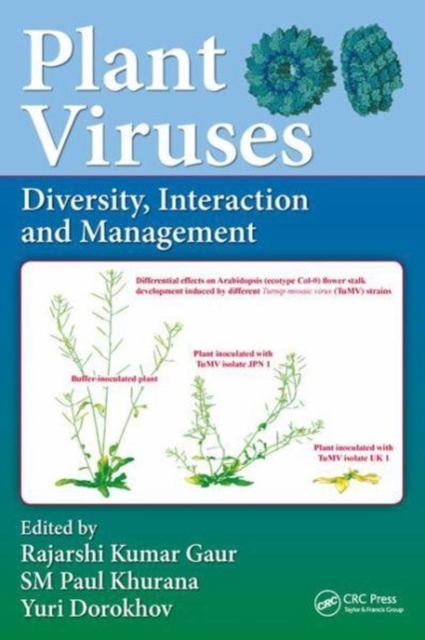 Plant Viruses : Diversity, Interaction and Management, Hardback Book