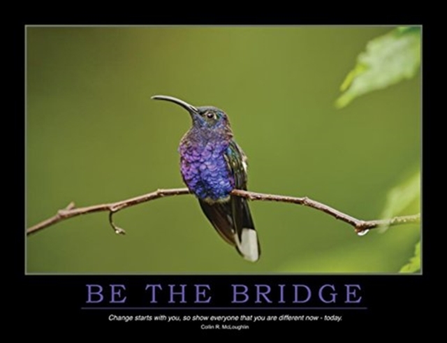 Be the Bridge Poster, Book Book
