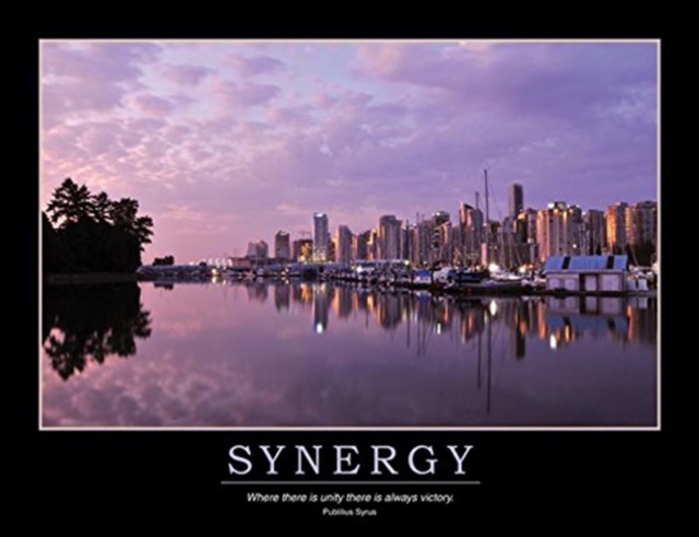 Synergy Poster, Book Book
