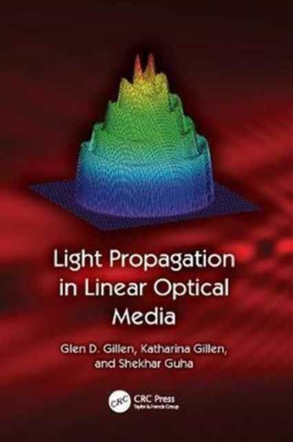 Light Propagation in Linear Optical Media, Paperback / softback Book