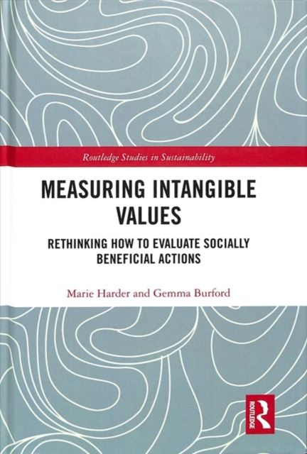 Measuring Intangible Values : Rethinking How to Evaluate Socially Beneficial Actions, Hardback Book